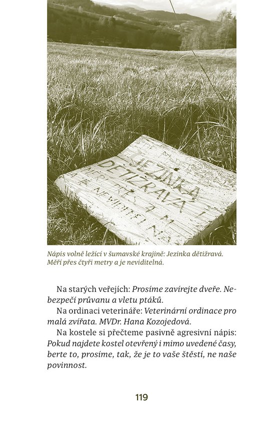 Za tichem - Šumava