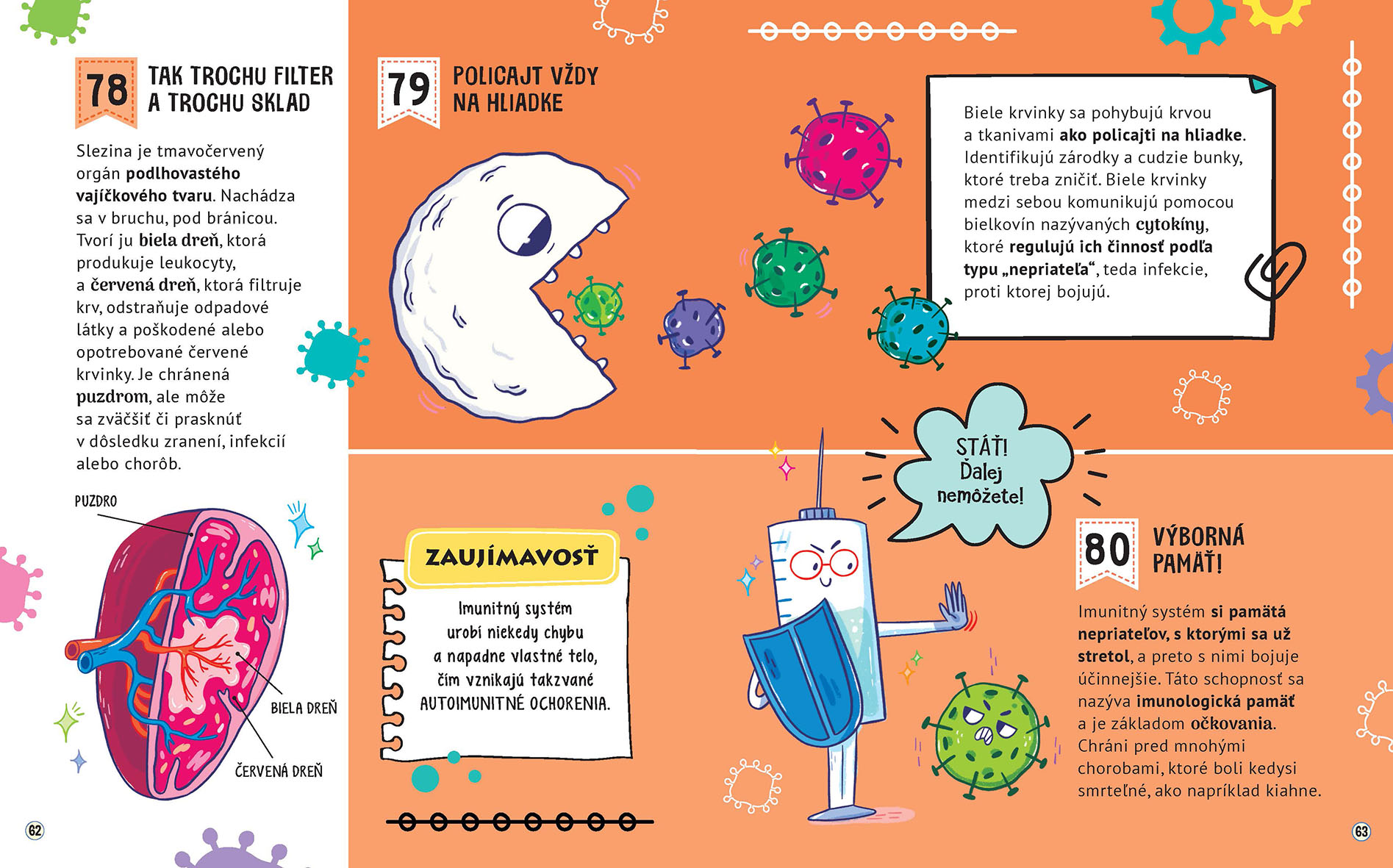 101 zábavných faktov: Ľudské telo