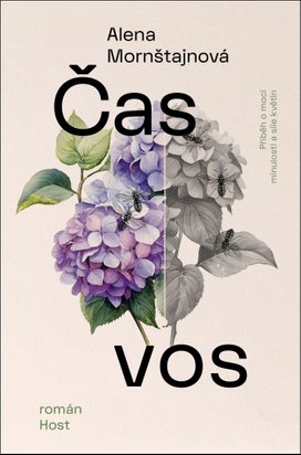 Čas vos