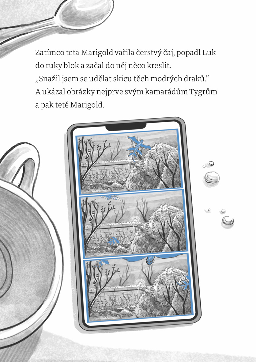 Klub Tygrů: Zámek modrých draků