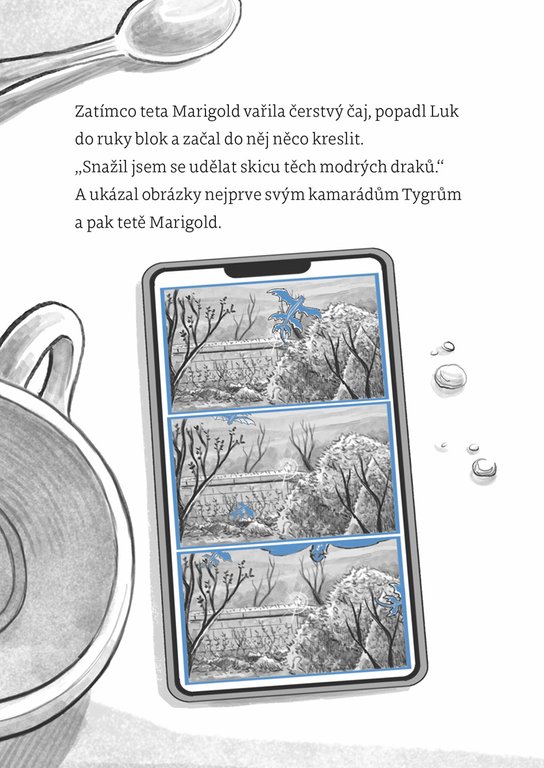 Klub Tygrů: Zámek modrých draků