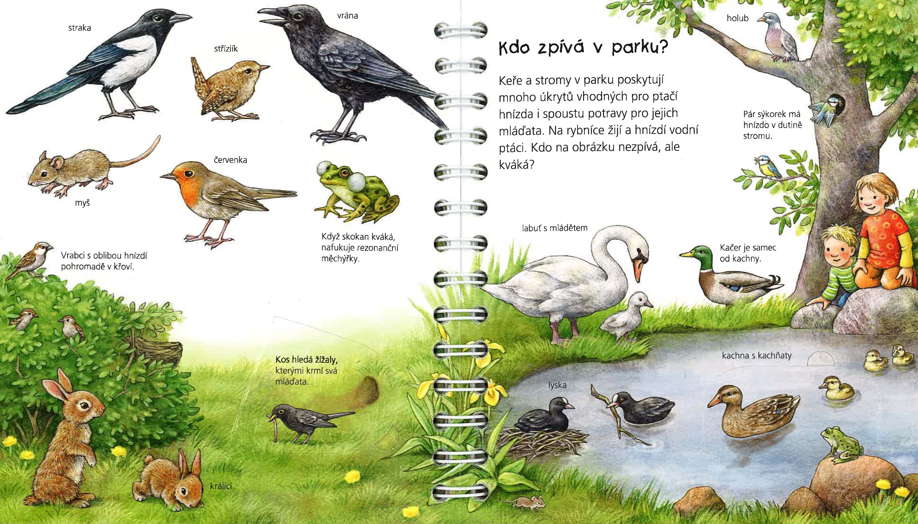 Můj první atlas zvířat