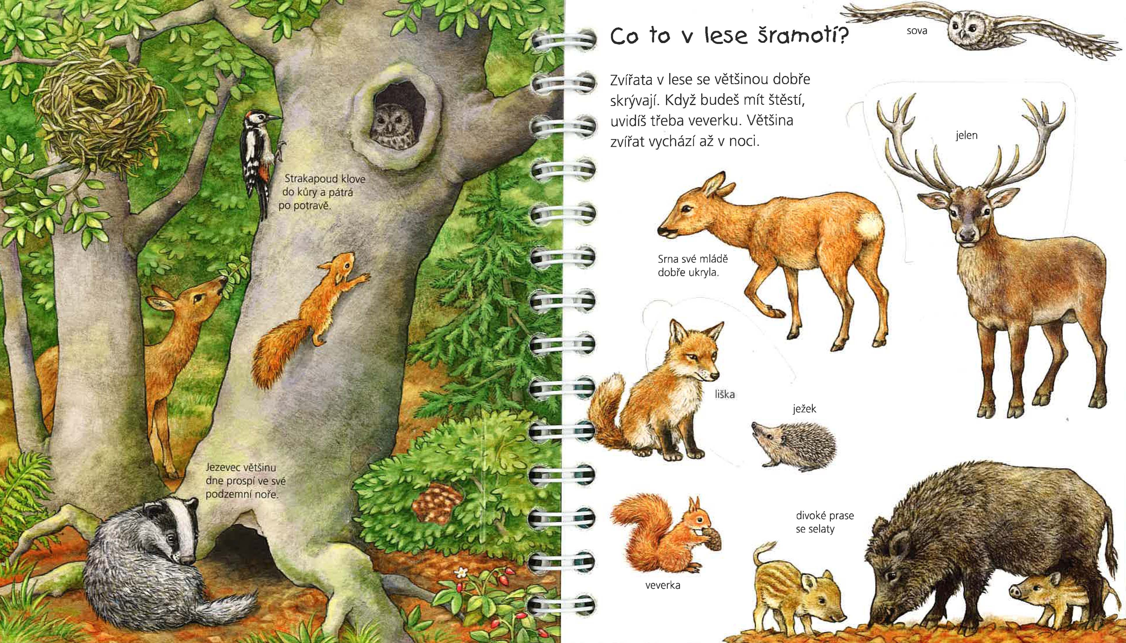 Můj první atlas zvířat