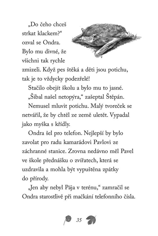Nové příběhy se šťastným koncem – Rozespalý netopýr