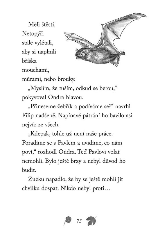 Nové příběhy se šťastným koncem – Rozespalý netopýr