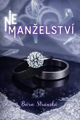 NeManželství