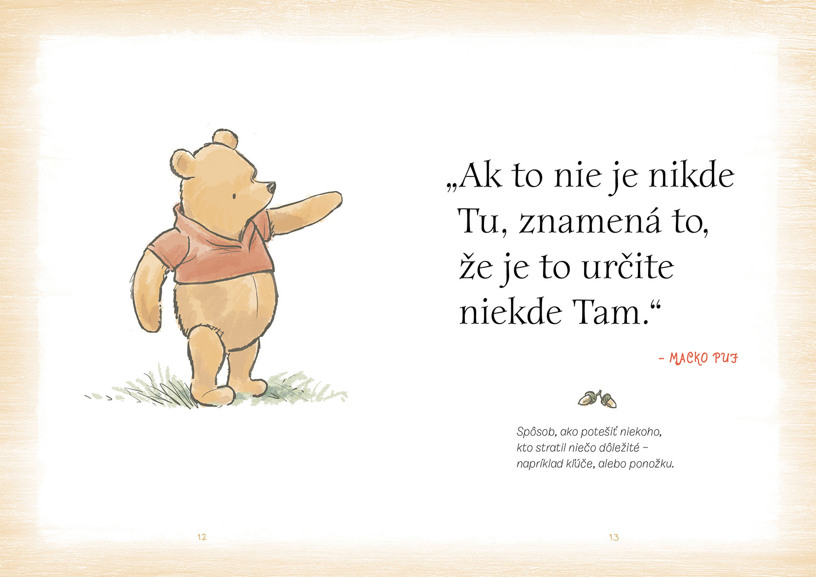 Macko Puf - Kniha múdrostí Macka Puf
