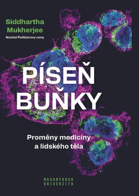 Píseň buňky