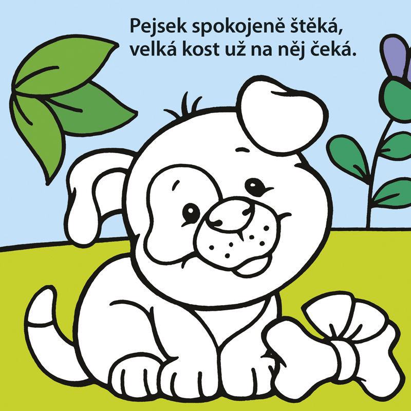 Hurá do vody Žbluňk Na dvorku