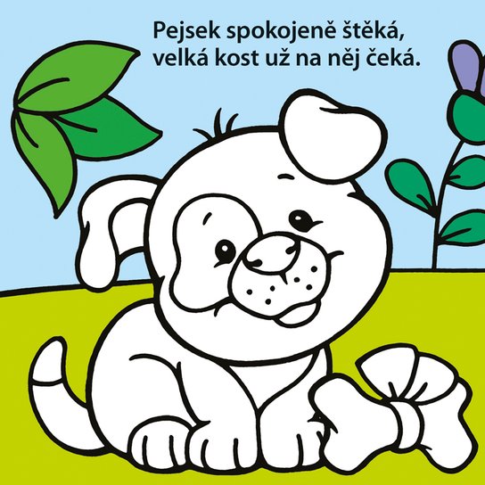 Hurá do vody Žbluňk Na dvorku