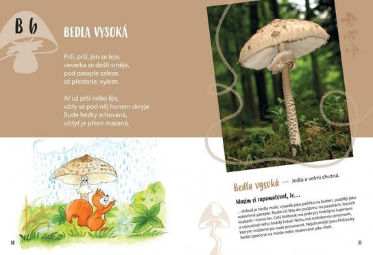 Moje houbová abeceda