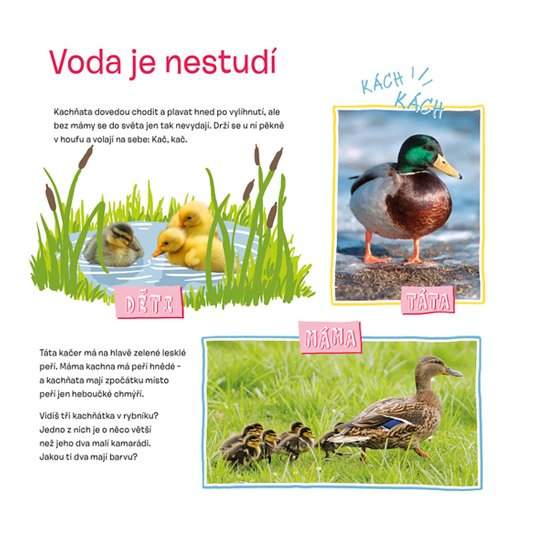 Osahej si kabátek oblíbených zvířátek Mláďátka