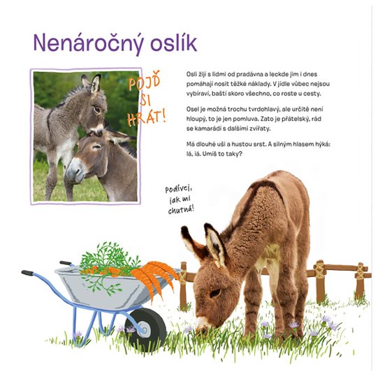 Osahej si kabátek oblíbených zvířátek Na statku