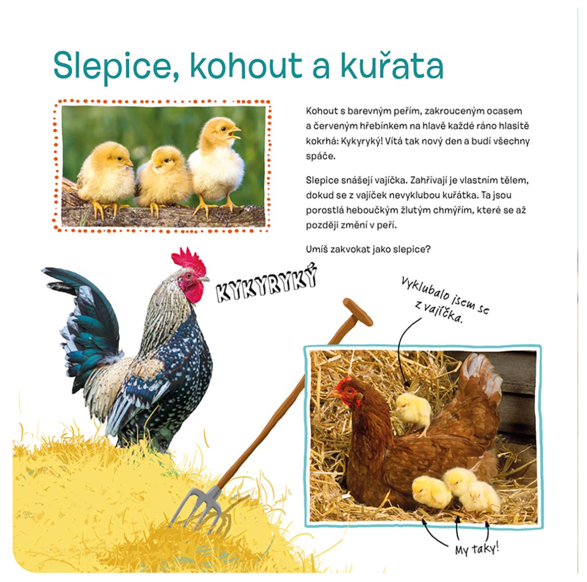 Osahej si kabátek oblíbených zvířátek Na statku