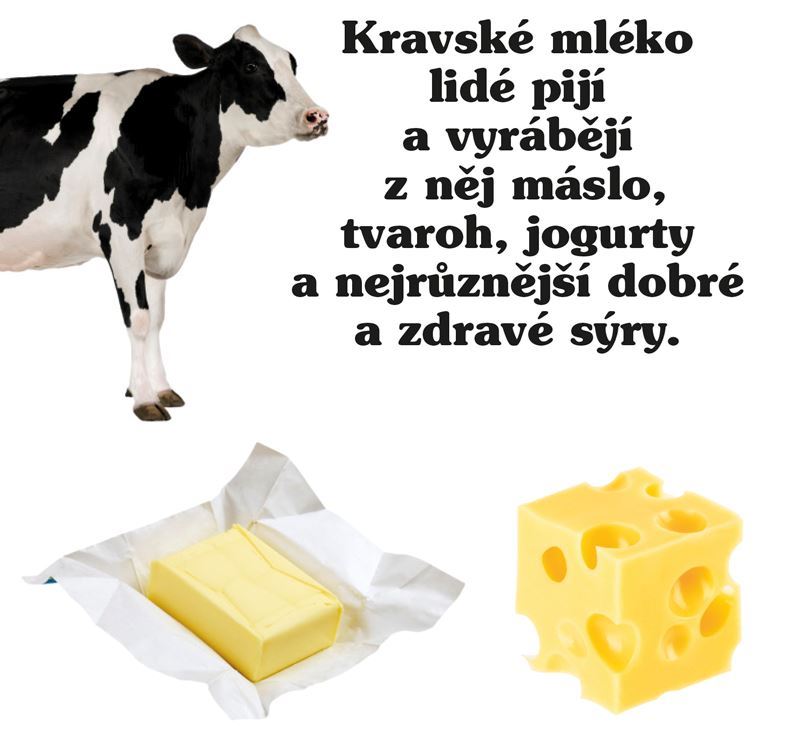 Statek Moje malá knížka BOX
