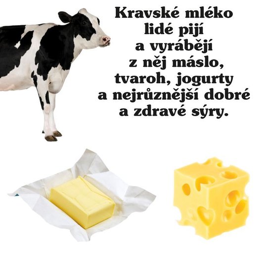 Statek Moje malá knížka BOX