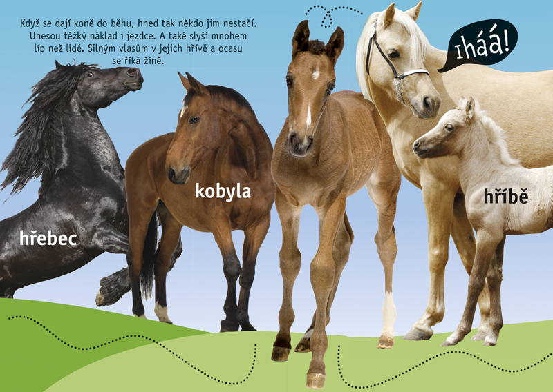 Pohlaď si zvířátko Zvířátka na farmě
