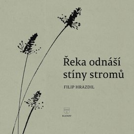 Řeka odnáší stíny stromů