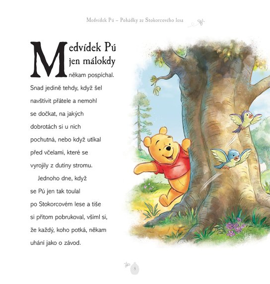 Medvídek Pú - Pohádky ze Stokorcového lesa