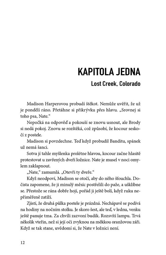Stopy v dešti