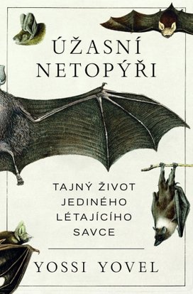 Úžasní netopýři
