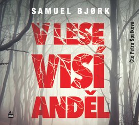 V lese visí anděl