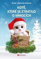 Kotě, které se ztratilo o Vánocích