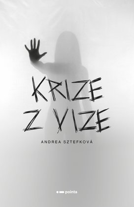 Krize z vize