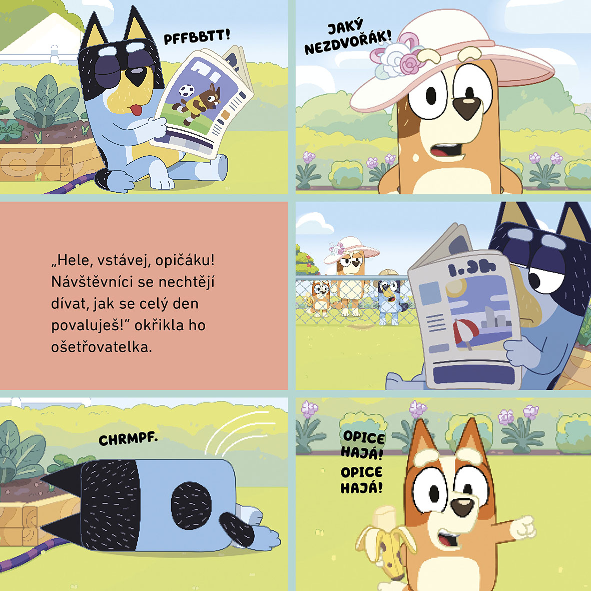 Bluey - Zoo