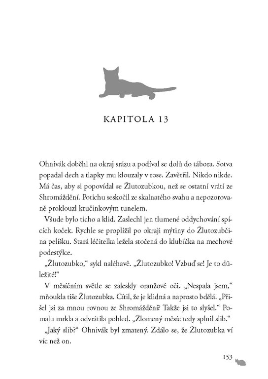 Kočičí válečníci (1) - Vzhůru do divočiny