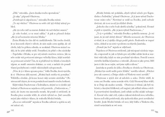 Kočičí válečníci (4) - Bouře přichází