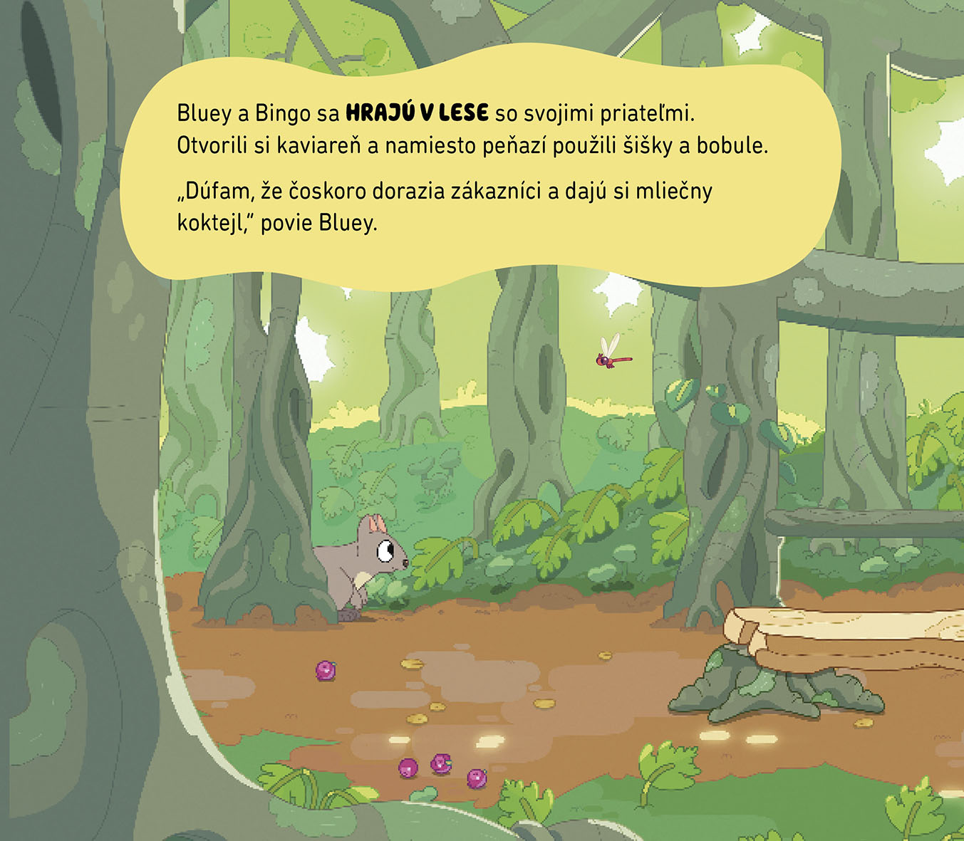 Bluey - Magnetická knižka - Poď sa s nami hrať