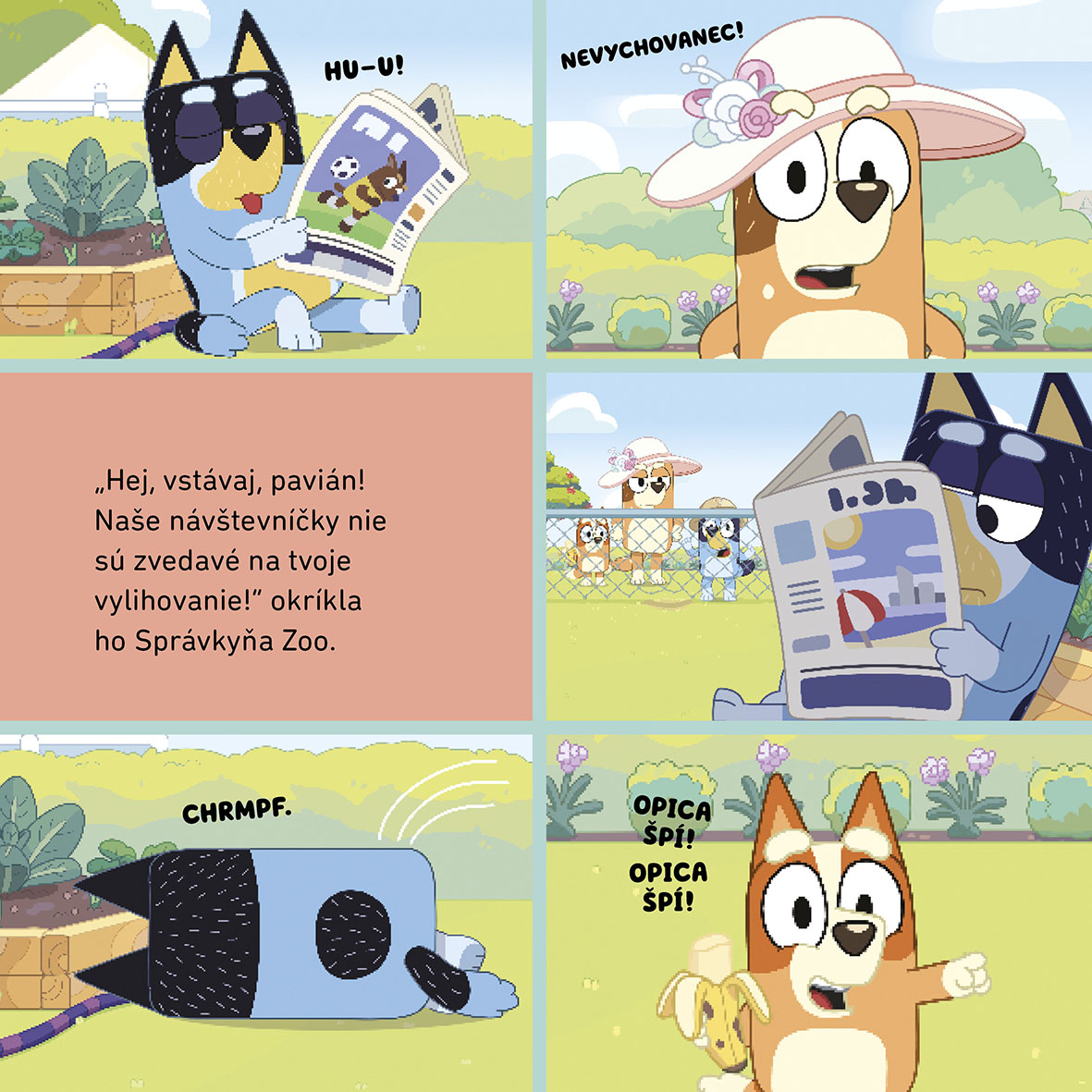 Bluey - Zoo
