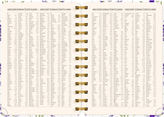 Spirálový 18měsíční diář 2026-2027 Petito Levandule