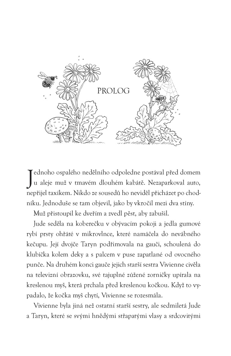 Krutý princ