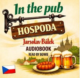 IN THE PUB