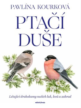 Ptačí duše