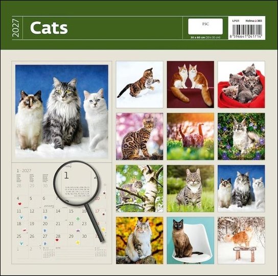 Cats 2027 - nástěnný kalendář