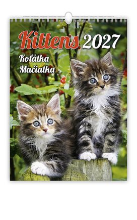 Koťátka 2027 - nástěnný kalendář