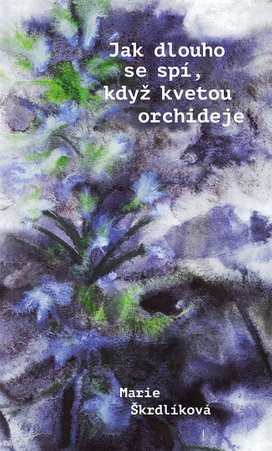 Jak dlouho se spí, když kvetou orchideje