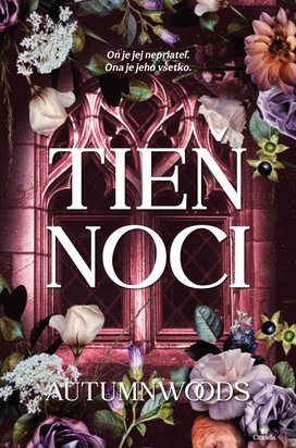 Tieň noci