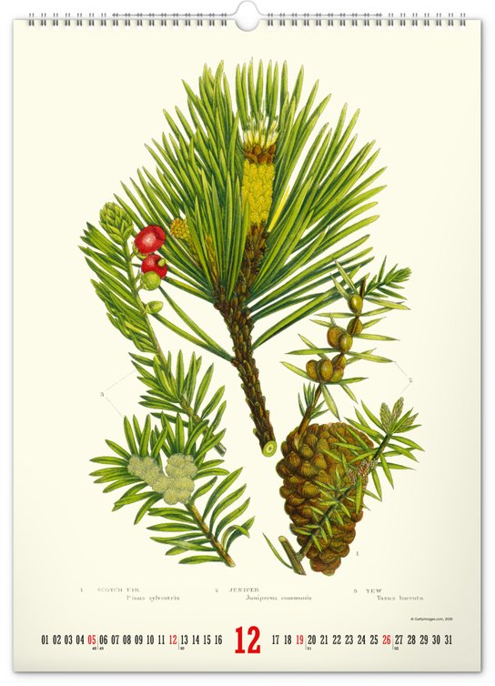 Vintage plakáty Herbář 2027 - nástěnný kalendář