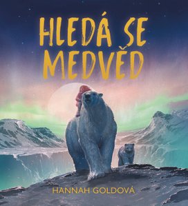 Hledá se medvěd