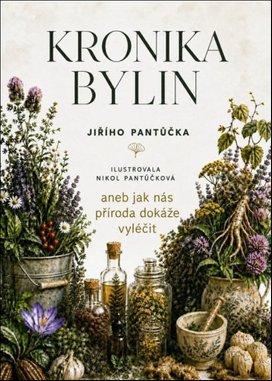 Kronika bylin