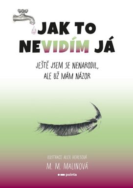 Jak to nevidím já