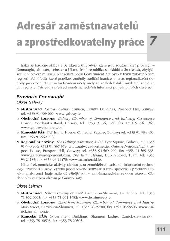 Práce v Irsku