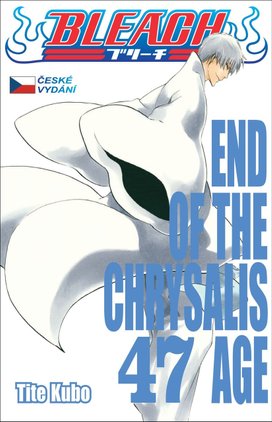 Bleach End Of The Chrysalis Age