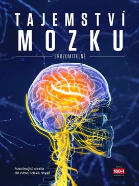 Tajemství mozku srozumitelně