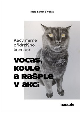 Kecy mírně přidrzlýho kocoura