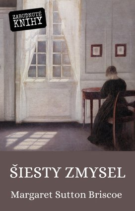 Šiesty zmysel